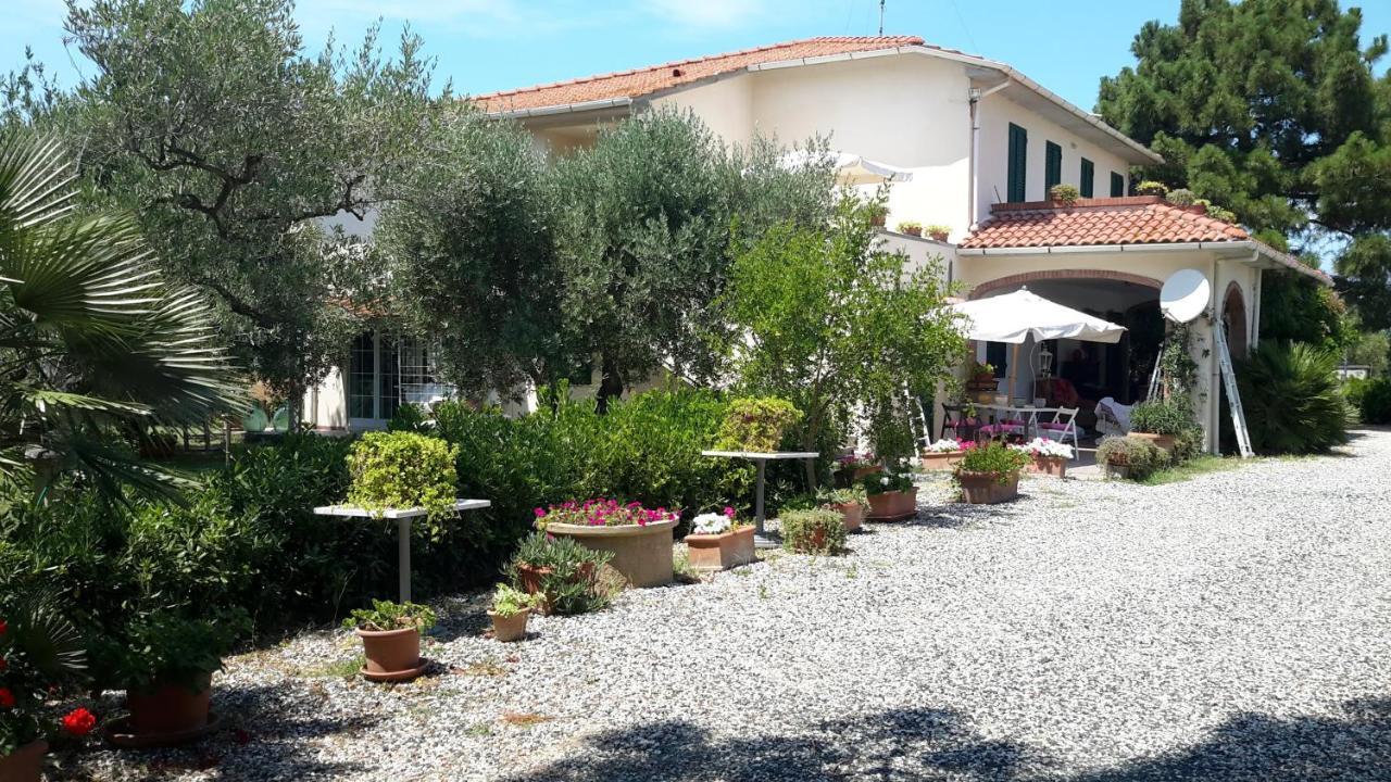 Campo Alle More Cecina  Dış mekan fotoğraf