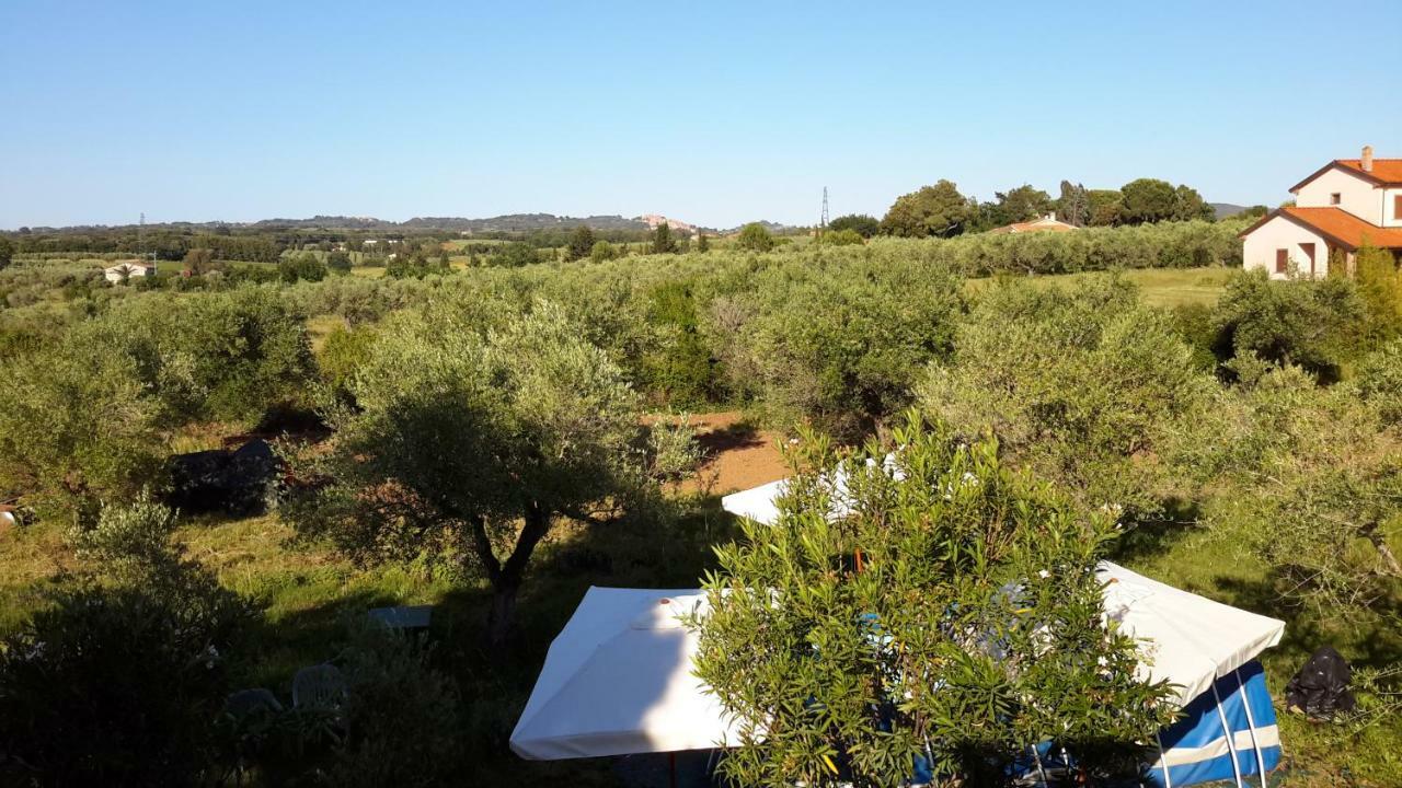 Campo Alle More Cecina  Dış mekan fotoğraf