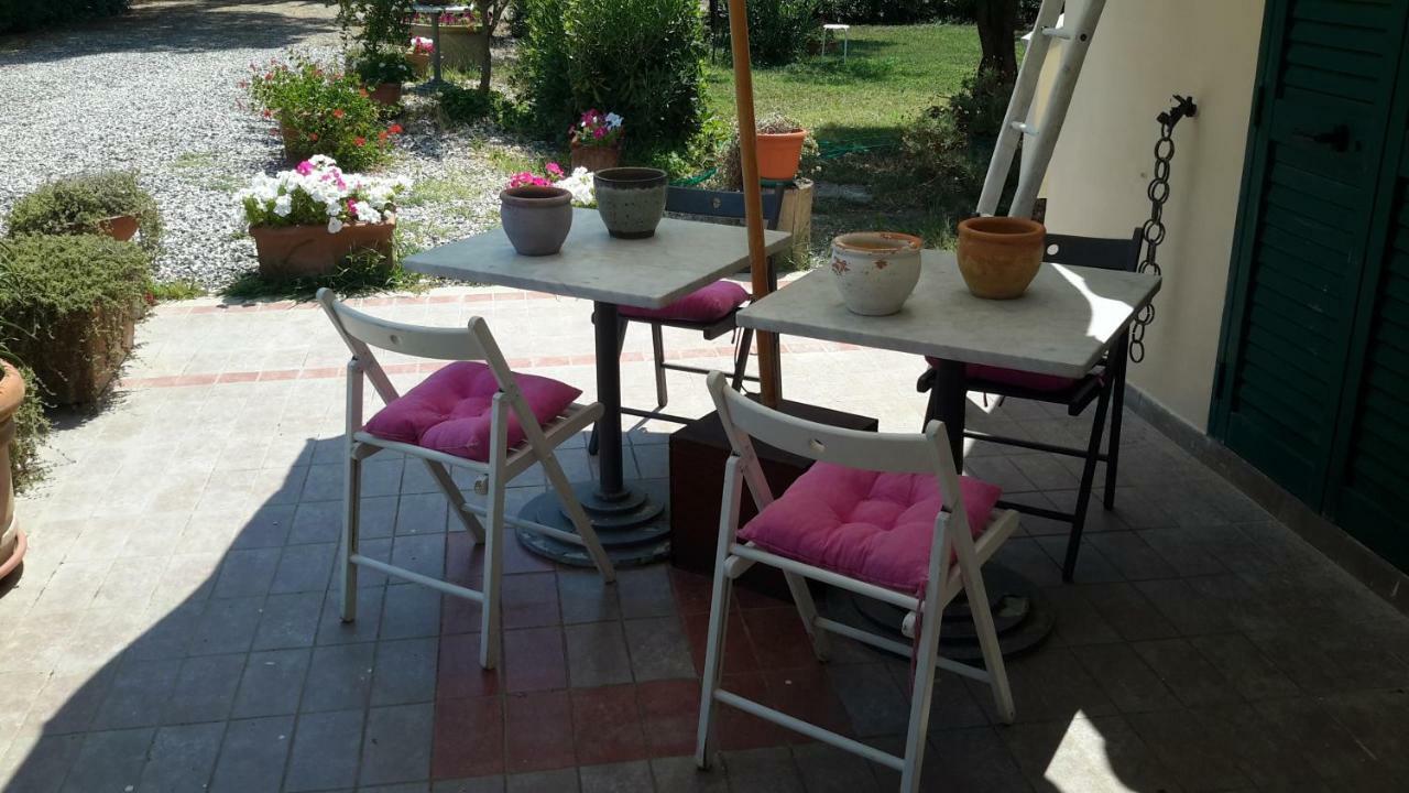 Campo Alle More Cecina  Dış mekan fotoğraf